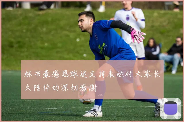 林书豪感恩球迷支持表达对大家长久陪伴的深切感谢
